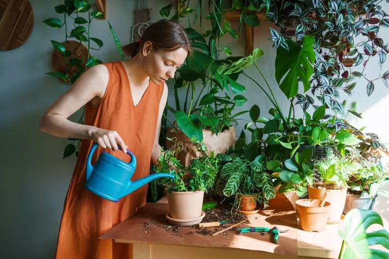 🌱 Tendências de Jardinagem Urbana para 2025